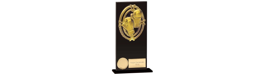 FUSION MAVERICK BOXING TROPHY - 5 SIZES - 12.5CM - 20CM